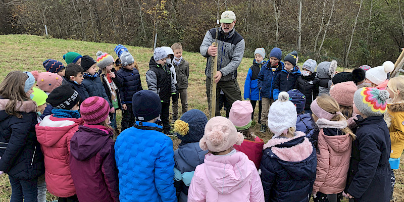 Die Erstklässler*innen der Astrid-Lindgren-Schule pflanzen ihren Apfelbaum